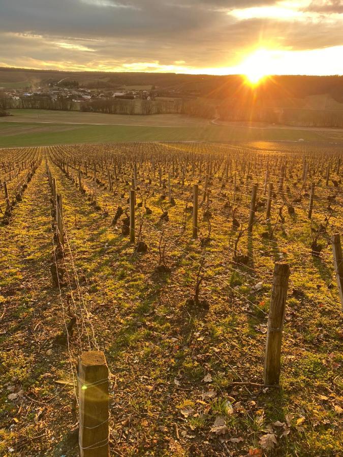 Villa Nuit’s Féerique en Champagne Meurville Esterno foto