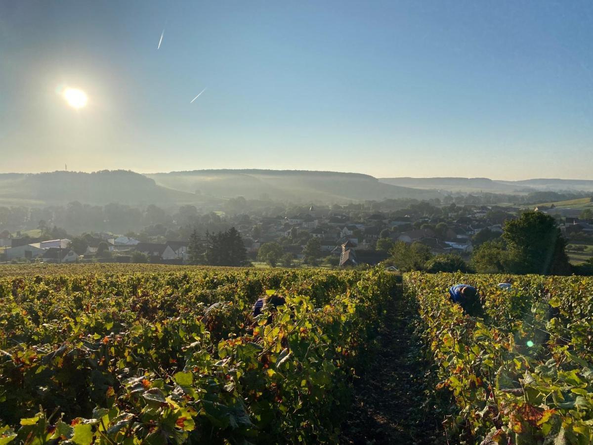 Villa Nuit’s Féerique en Champagne Meurville Esterno foto