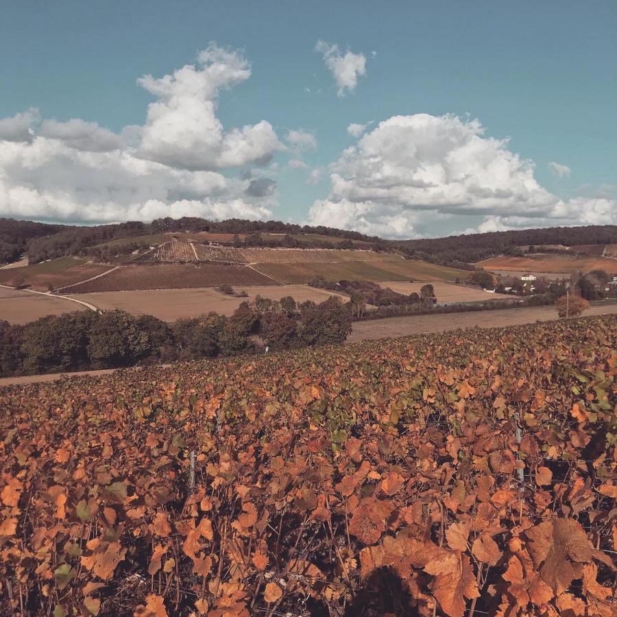Villa Nuit’s Féerique en Champagne Meurville Esterno foto